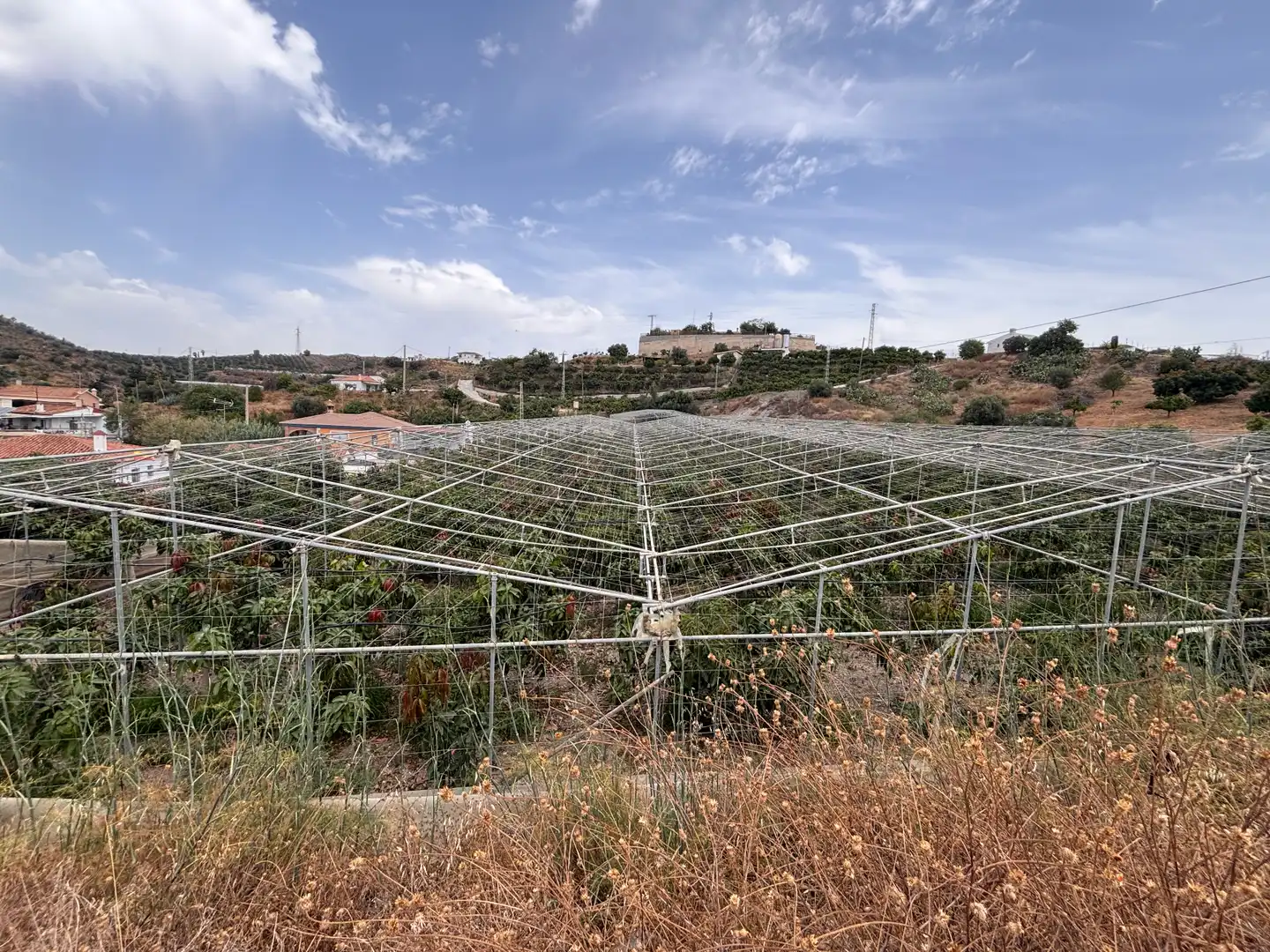 Terreni e lotti in vendita a Cortijo los Mananas 5, imagen 11