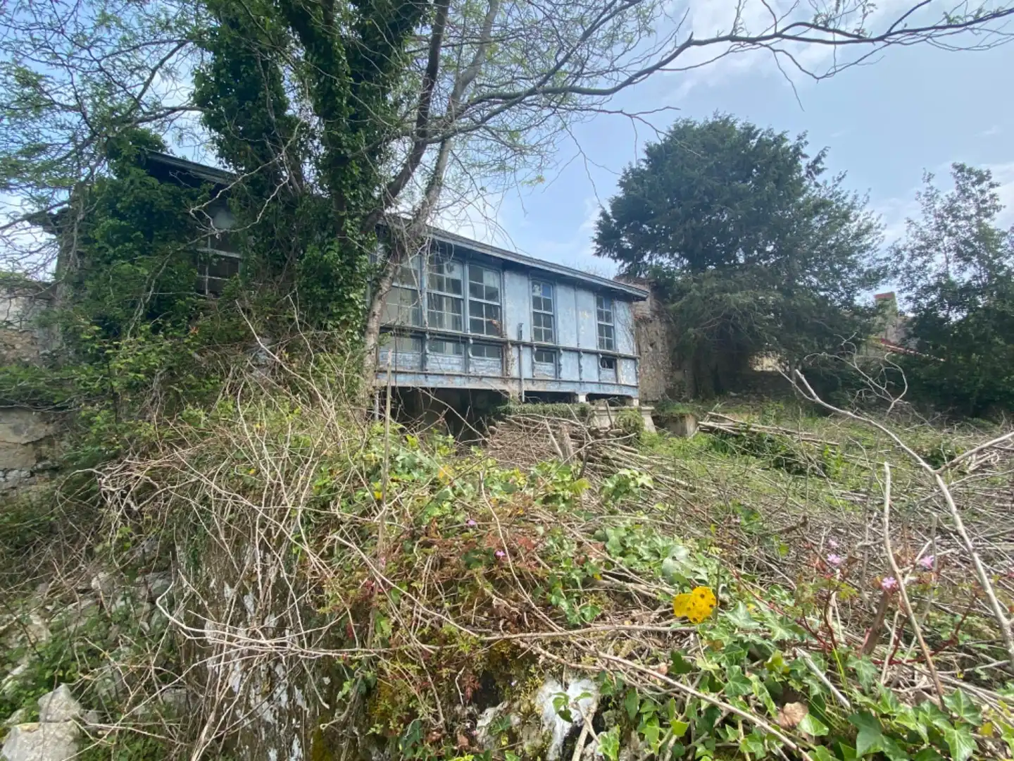 Vista exterior de Casa o chalet en venta en Llanes con Jardín privado y Balcón