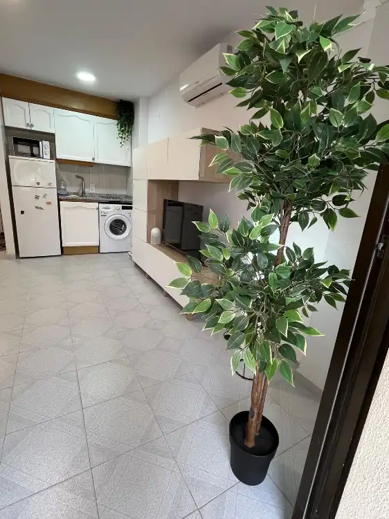 Cocina de Estudio en venta en Gandia con Terraza, Amueblado y Horno