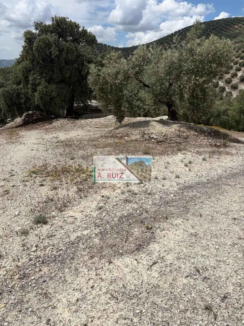 Rural land for sale in Iznájar, imagen 3