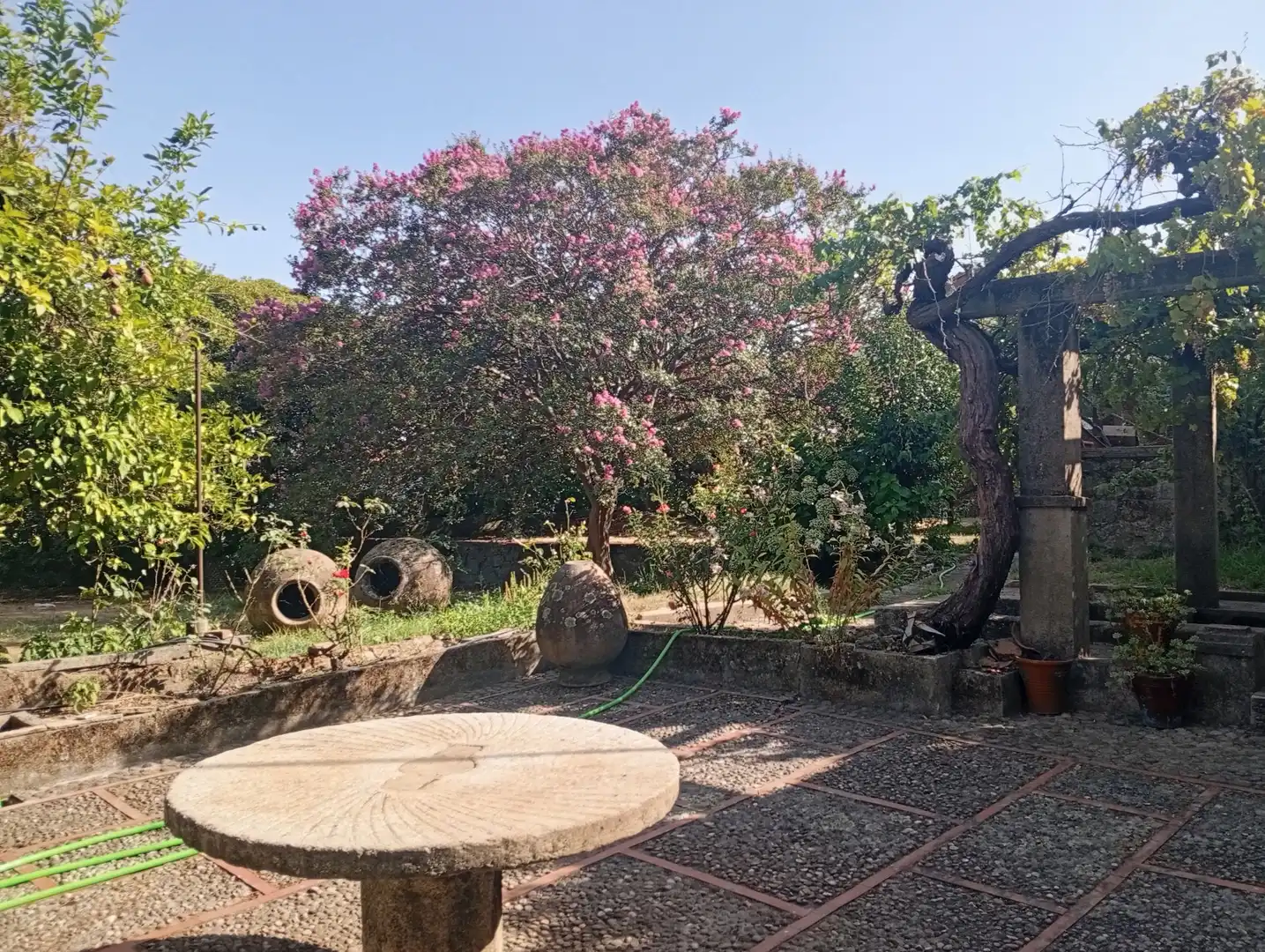 Jardín de Casa o chalet en venta en Villanueva de la Vera con Jardín privado y Trastero