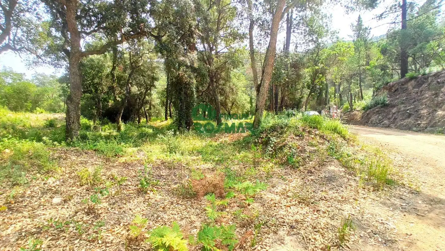 Terreny rústic en venda a Lloret Blau - La Creu de Lloret, imagen 8