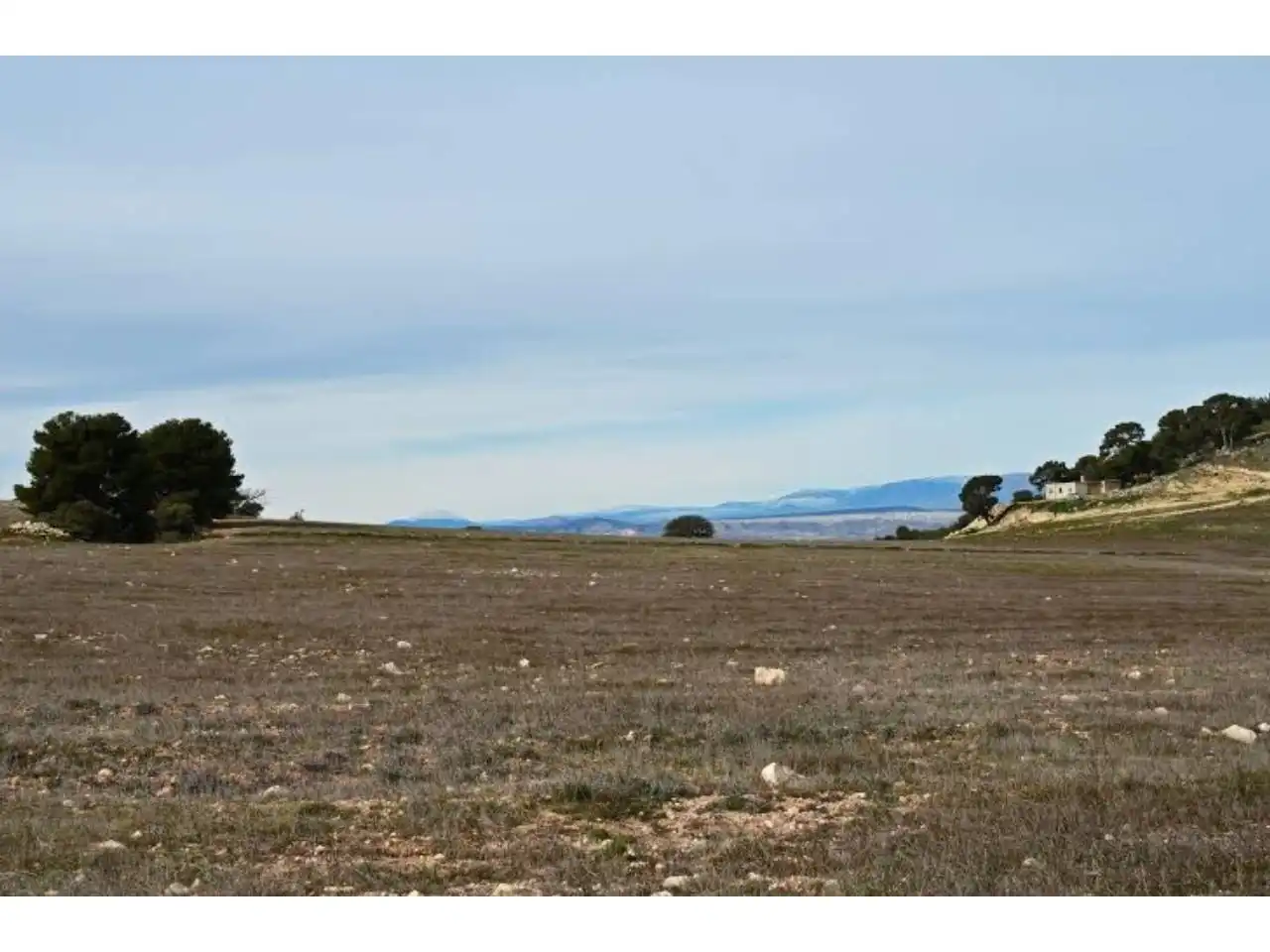 Terrains et parcelles à vendre à Pedanías Norte, imagen 33
