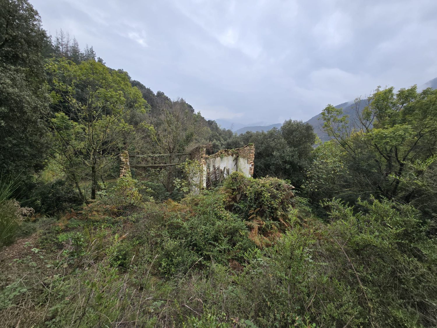 Finca rústica en venda en Susqueda