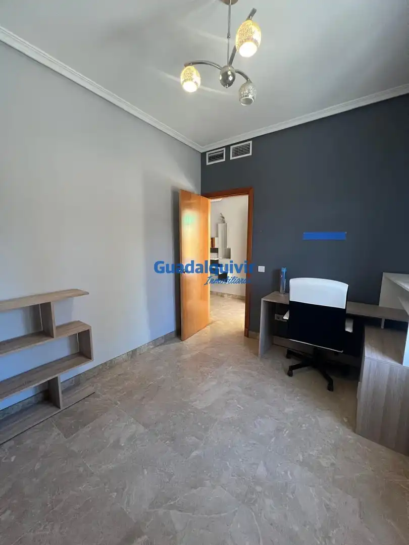 Villa avec jardin à vendre à Olivar de Quintos, imagen 12