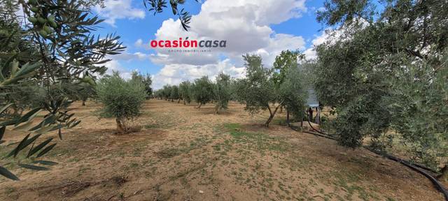 Finca rústica en Venta en Alcaracejos