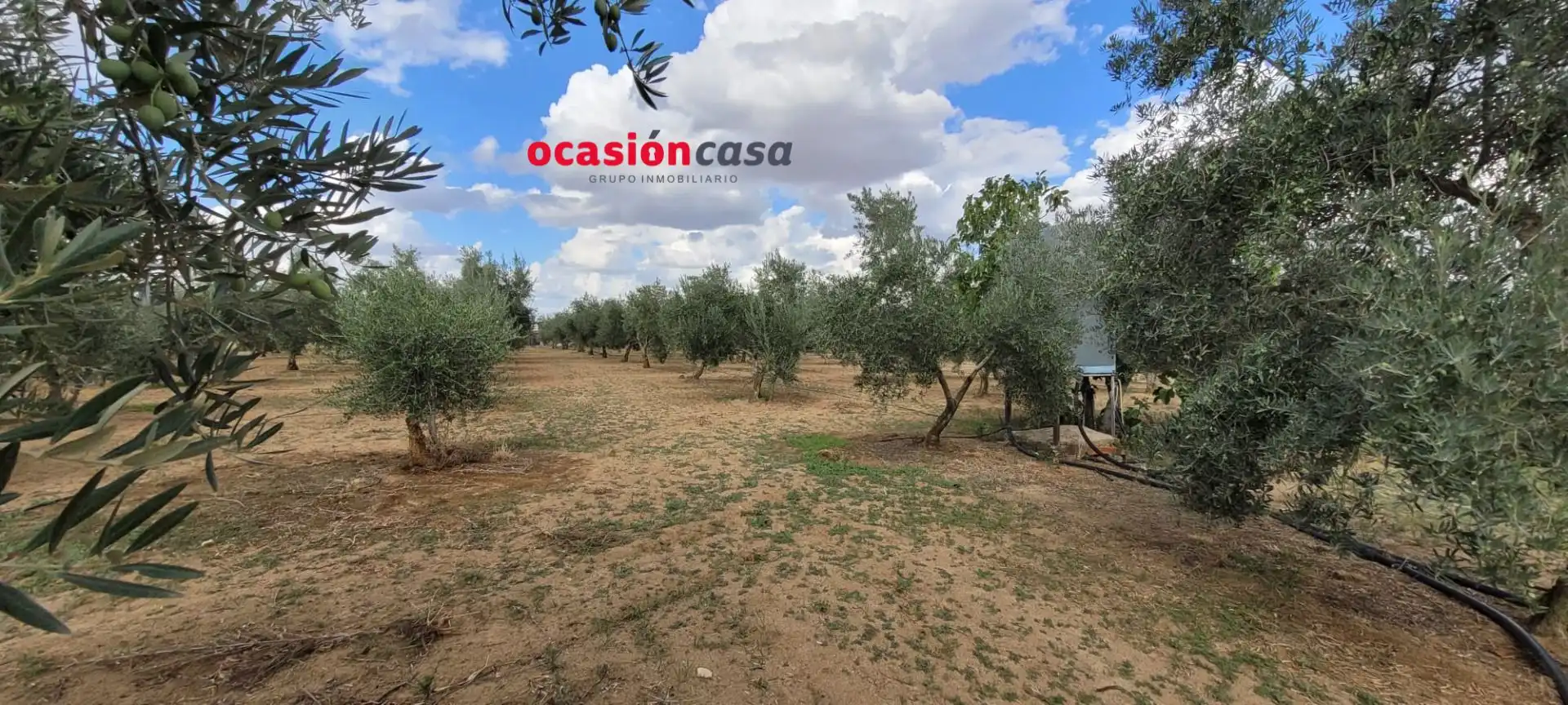 Casa rústica en venta en Alcaracejos