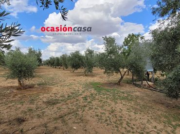 Maison rustique à vendre à Alcaracejos
