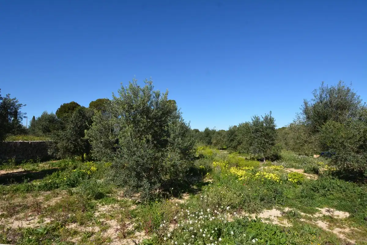Chalet con piscina en venta en La Xara - La Sella, imagen 12