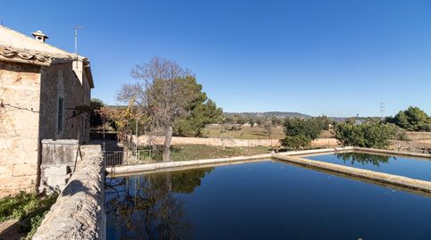 Foto 5 de Finca rústica en venta en Cort, Palma de Mallorca
