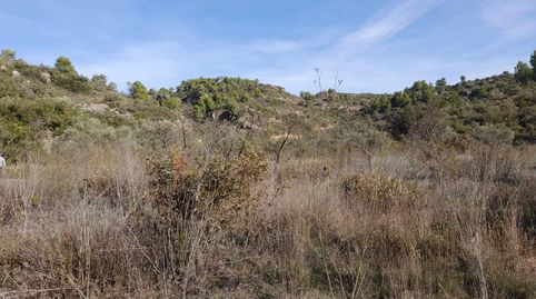 Foto 5 de Terreno en venta en La Palma d'Ebre, Tarragona