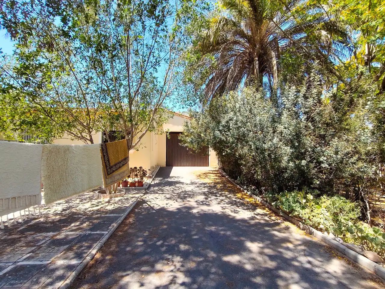 Vista exterior de Casa o xalet en venda en Elche / Elx amb Jardí privat, Terrassa i Piscina