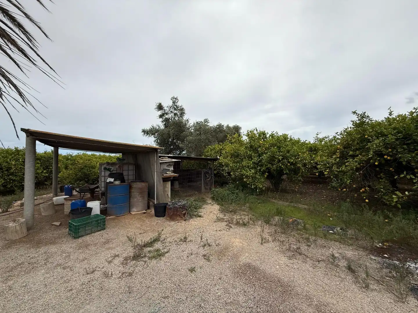 Terreno rústico en venta en Camino San Miguel de Salinas, imagen 8