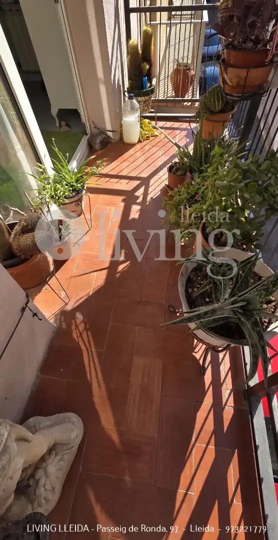 Piso con terraza en venta en Avinguda Alcalde Porqueres, imagen 27