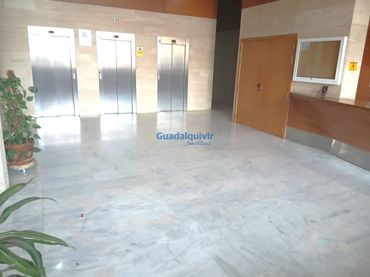 Büro mit Aufzug zur Miete in Pisa