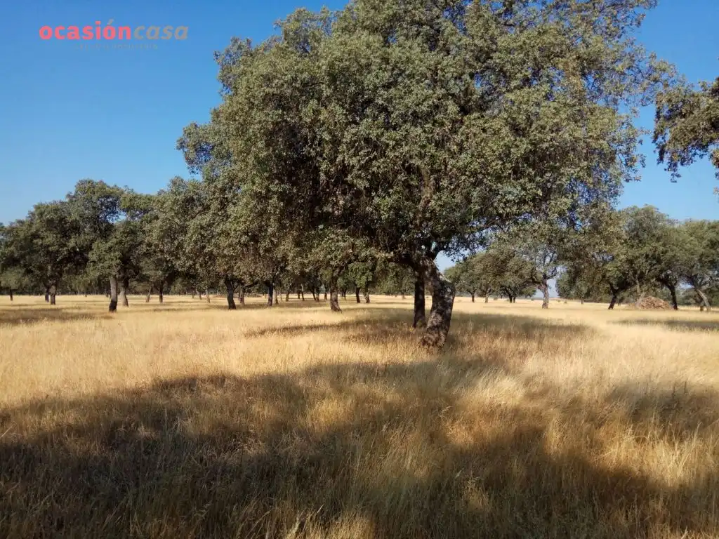 Country homes for sale in Torrecampo