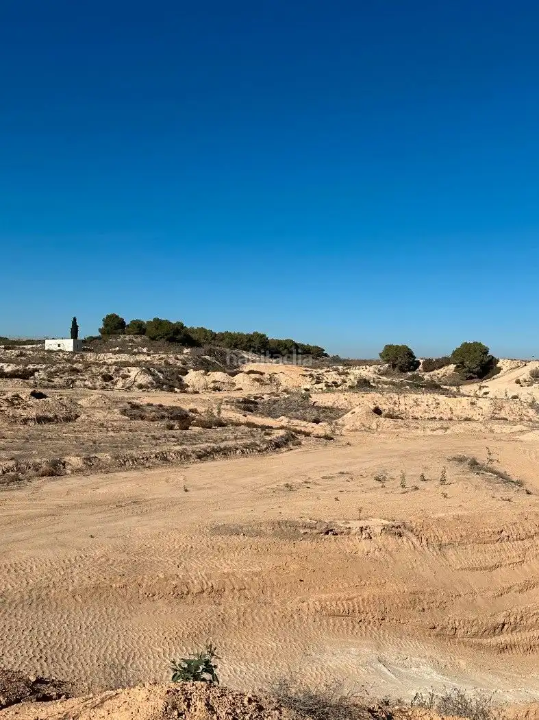 Terrain rustique à vendre à Camino de Catral 31, imagen 33