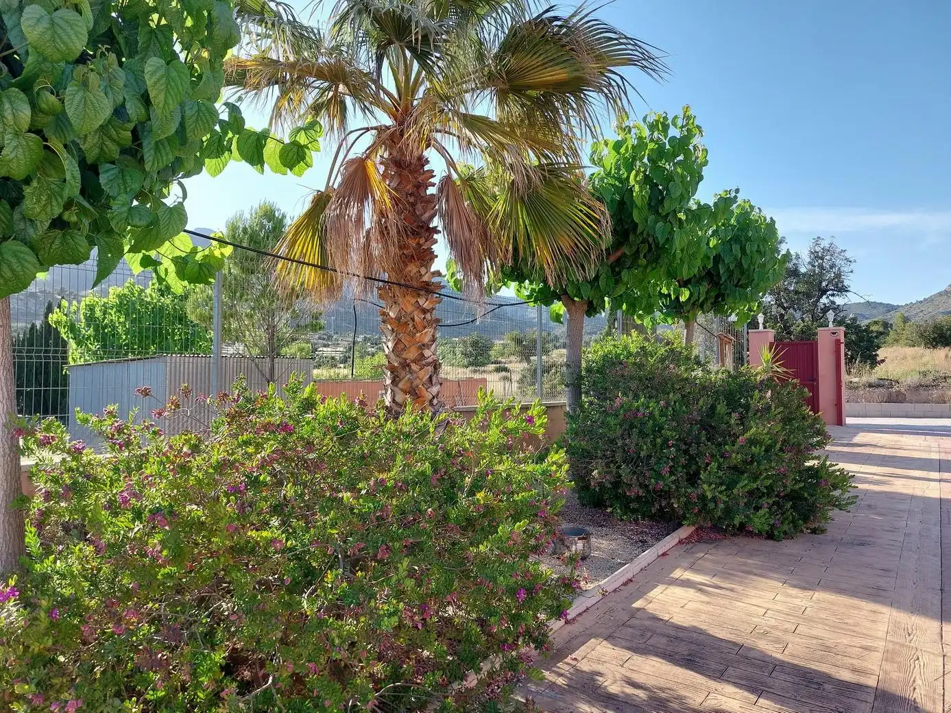 Jardí de Casa o xalet en venda en Aigües amb Calefacció, Jardí privat i Terrassa