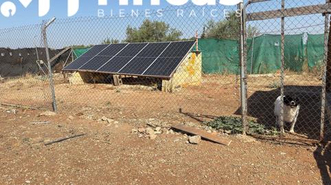 Foto 3 de Finca rústica en venda a  Polígono 7 Paraje 32 Dehesa Yegua, 21, Los Molares, Sevilla