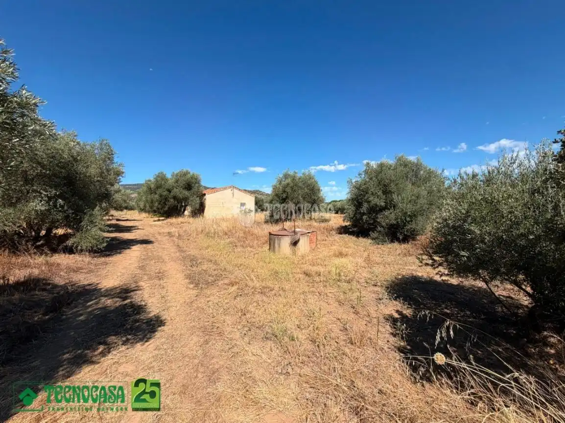 Houses for sale in Piedrabuena