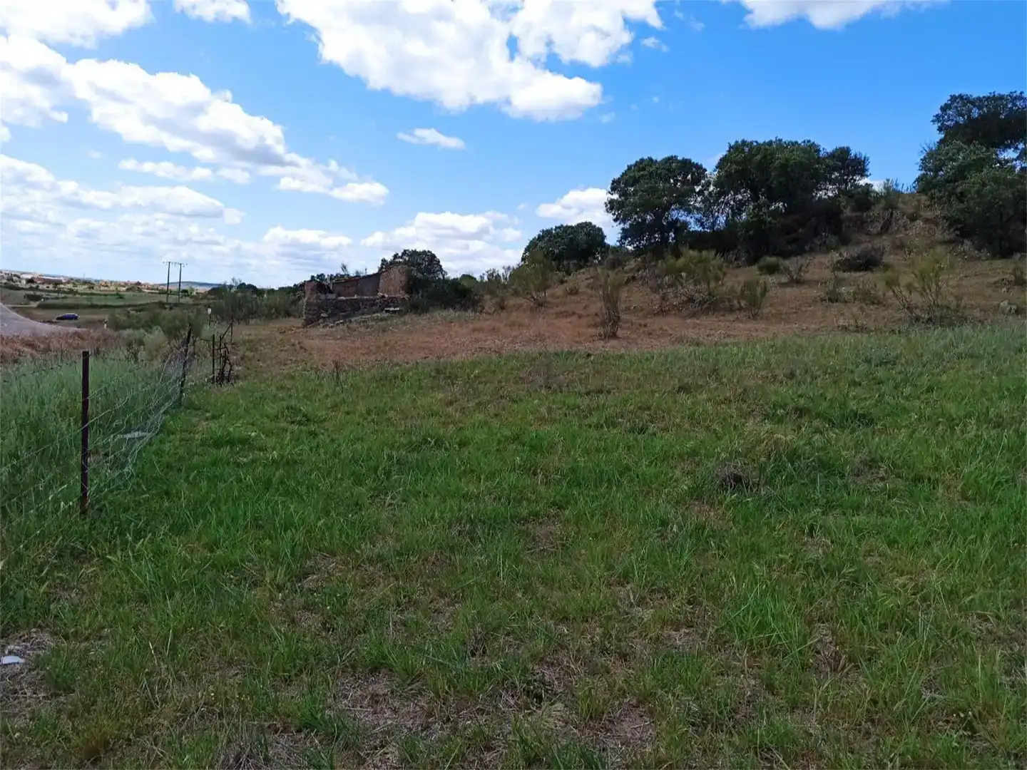 Land for sale in Jaraicejo, Cáceres