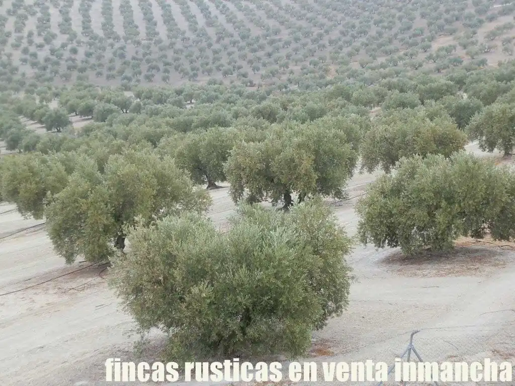Terreni e lotti in vendita a Andújar, imagen 16