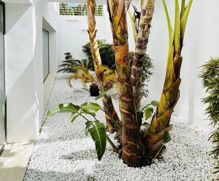 Jardí de Casa o xalet en venda en Jávea / Xàbia amb Aire condicionat, Calefacció i Jardí privat