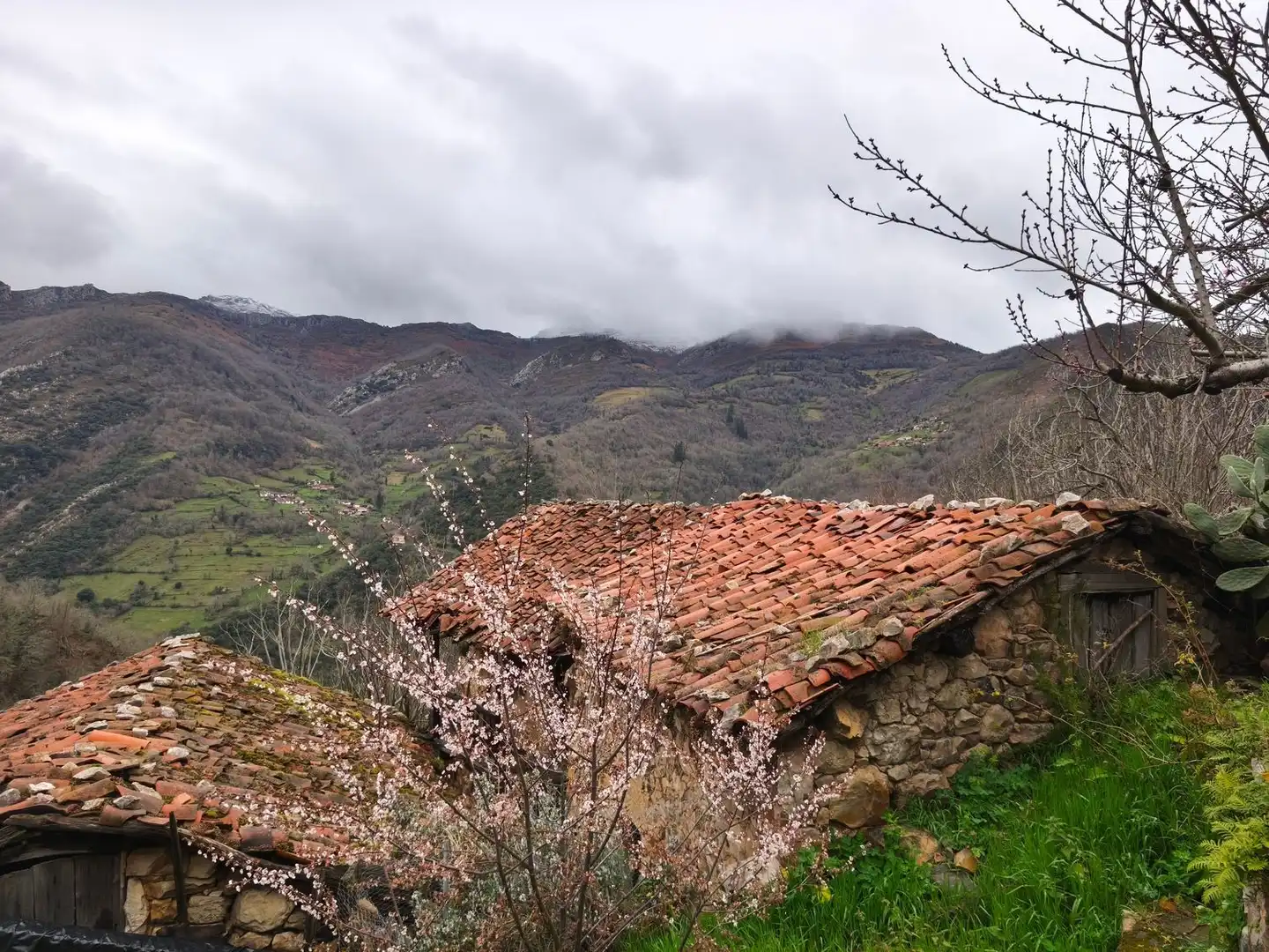 Vista exterior de Casa o chalet en venta en Proaza con Piscina