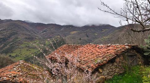 Photo 5 of Houses for sale in Proaza, Asturias