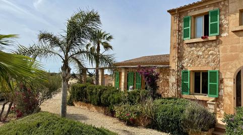 Foto 2 von Grundstücke zur Miete in Son Busqueret, Zona Rústica - Interior, Campos