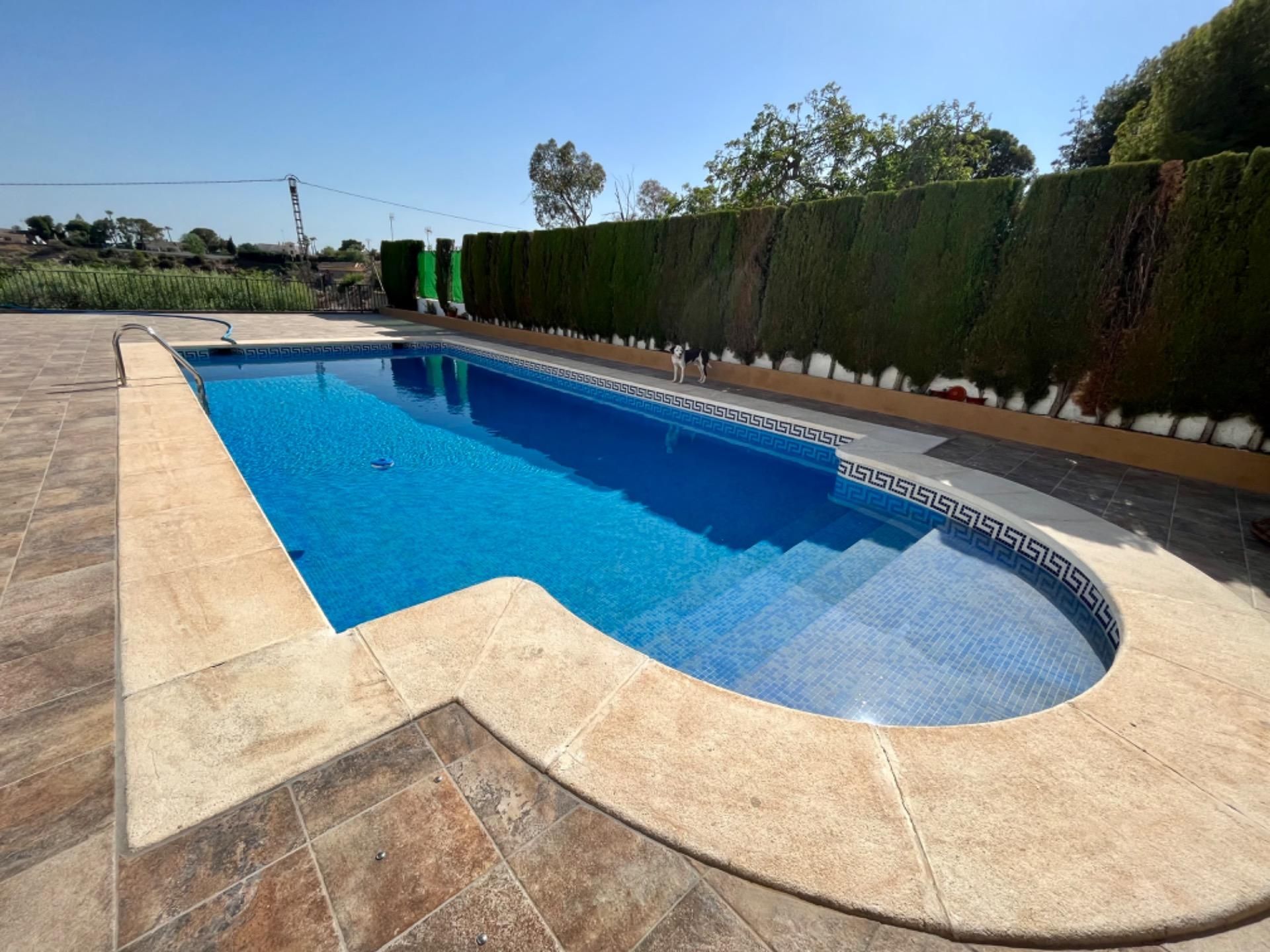 Piscina de Casa o xalet en venda en Elche / Elx amb Aire condicionat, Calefacció i Jardí privat