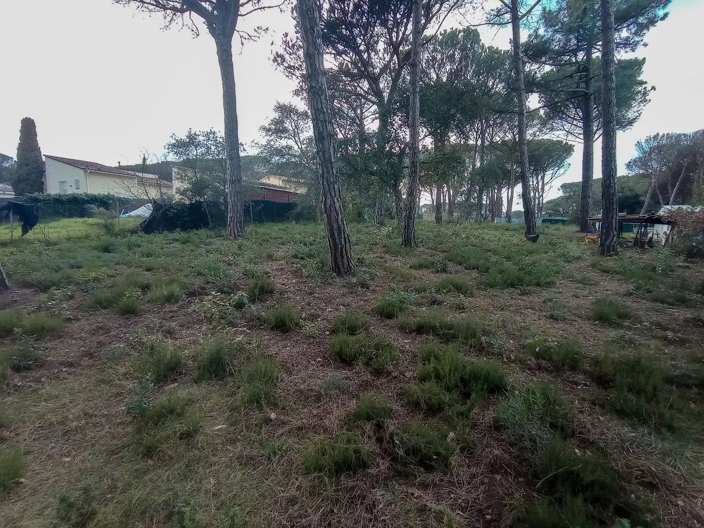 Terreny residencial en venda a Llagostera, imagen 3