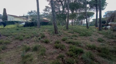 TERRENO CON POCA PENDIENTE EN LLAGOSTERA , immagine 3