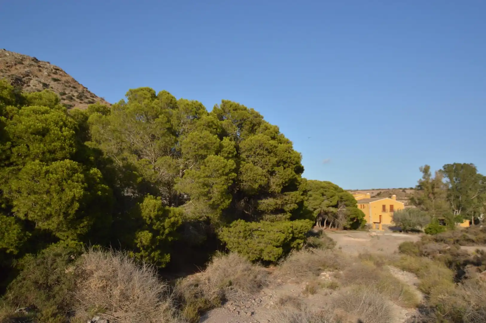 Casa rustica con piscina in vendita a Las Majadas-Las Molinetas-Labradorcico, imagen 41