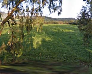 Land for sale in Tarifa