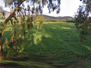 Terreny rústic en venda a Arrabal Sector Valdevaqueros