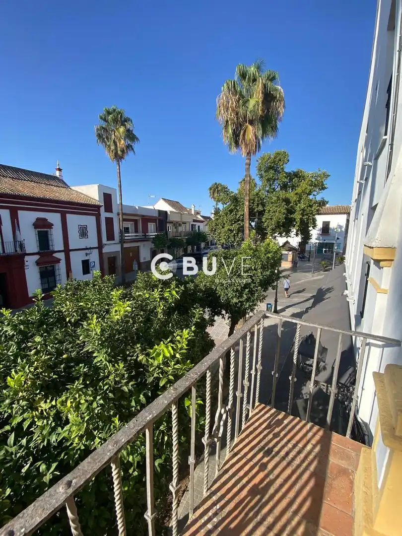 Vista exterior de Casa o xalet en venda en Lebrija amb Calefacció, Jardí privat i Terrassa