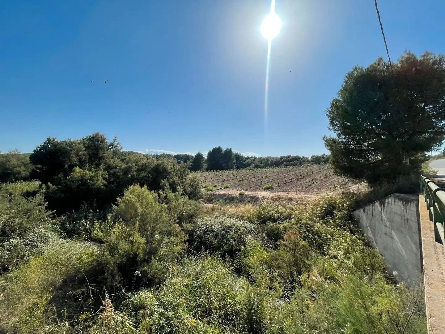 Terreno rustico in vendita a Cehegín, imagen 23