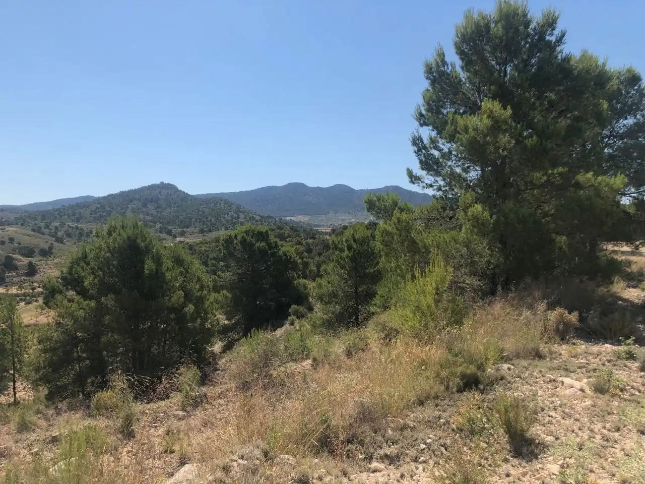 Rustikales Grundstück zum Verkauf in Jumilla, imagen 4