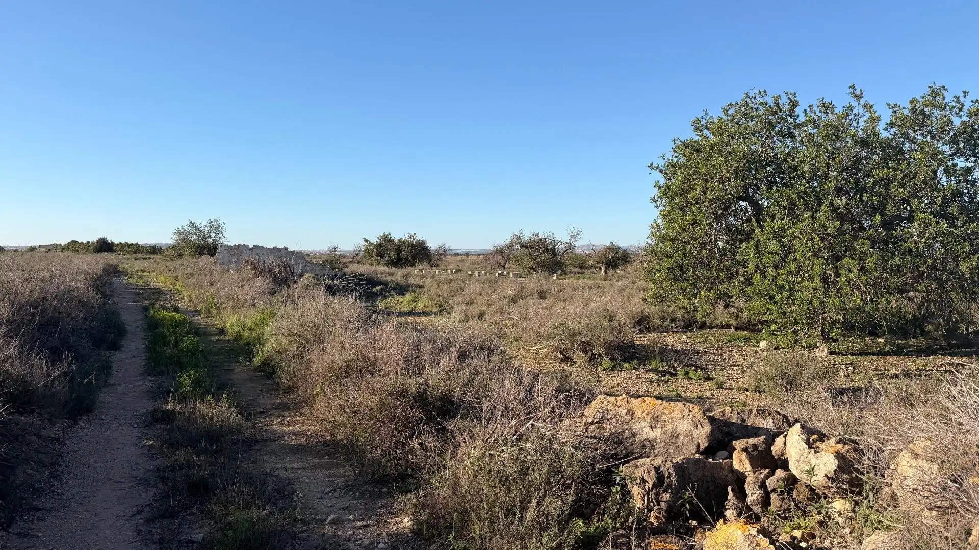 Terreno residencial en venta en La Marina, imagen 22