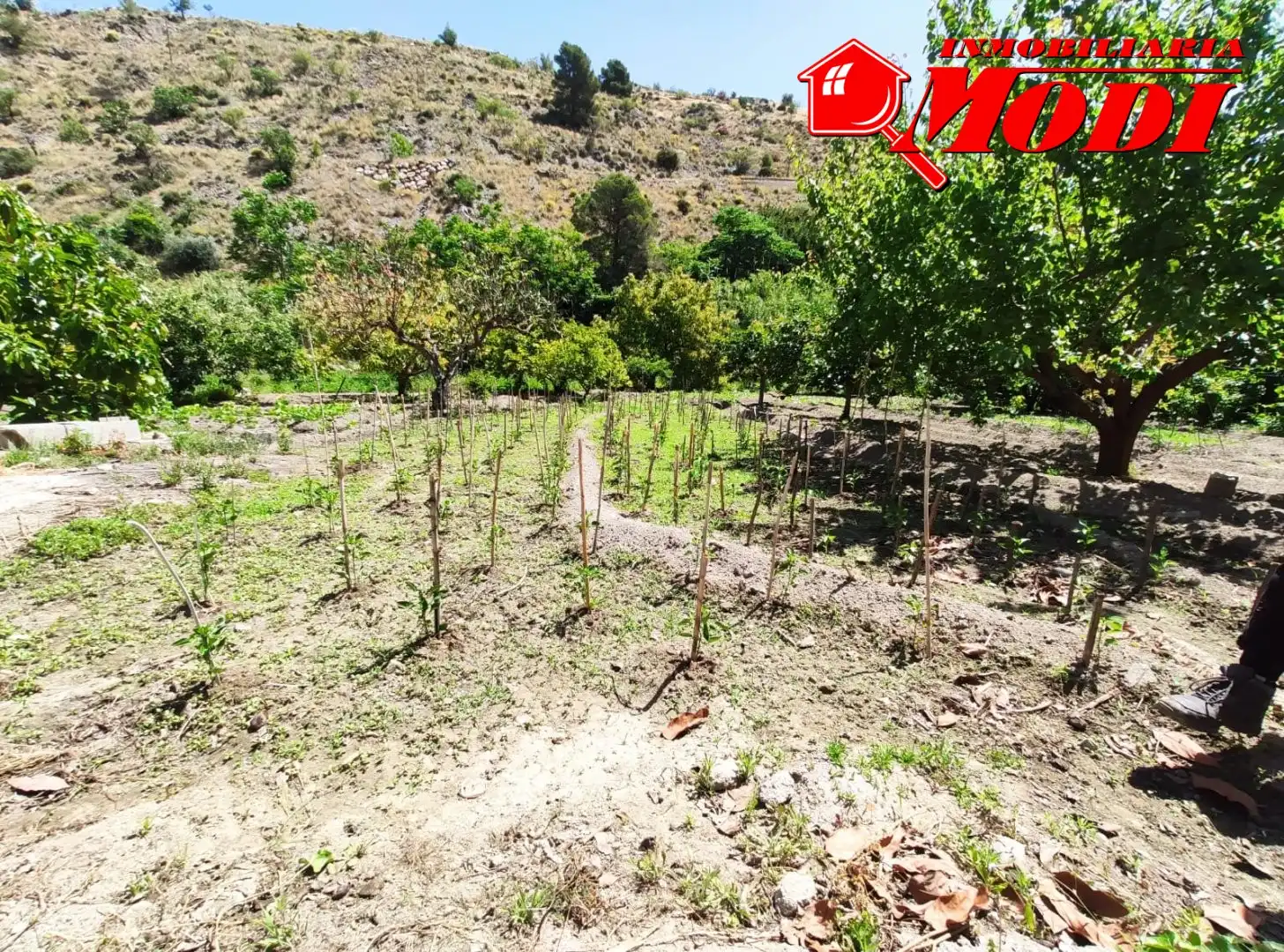 Terreni e lotti in vendita a El Pinar, imagen 10