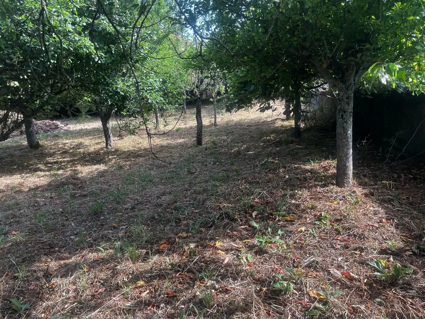 Casa rústica amb jardí en venda a Silleda, imagen 18