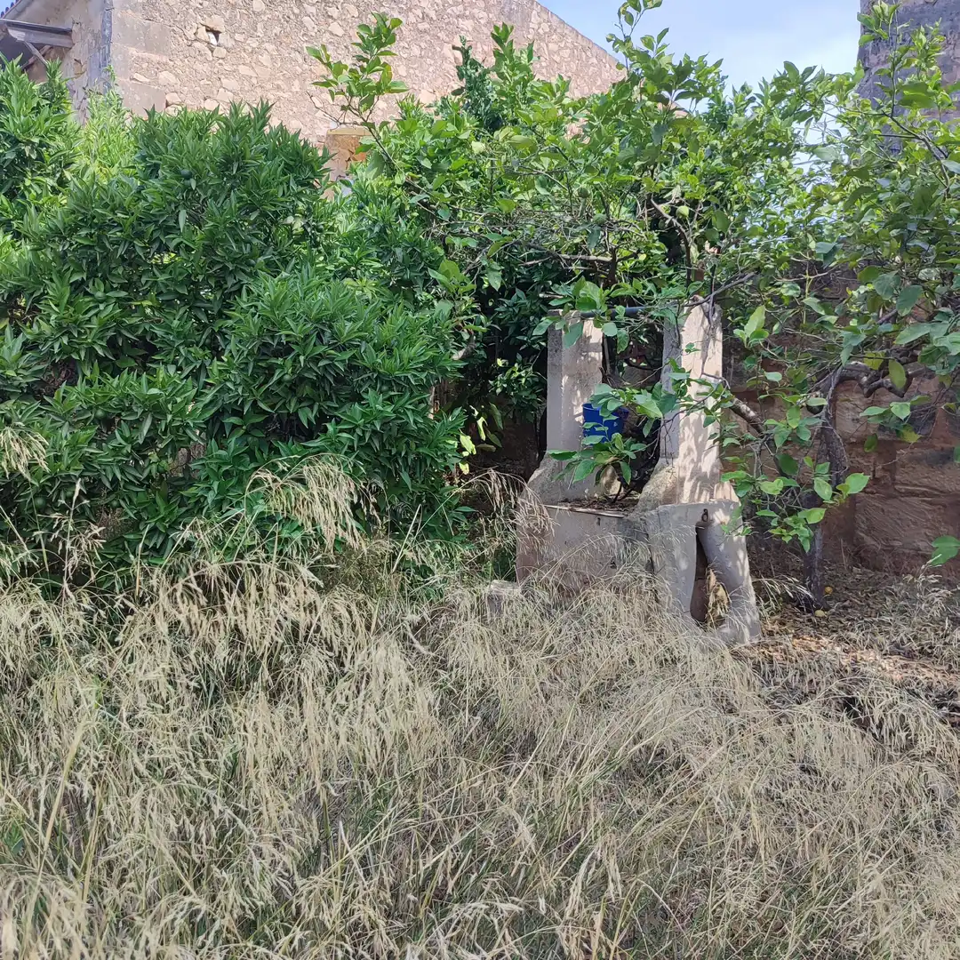 Terreny residencial en venda a Carrer de Bonany 8, imagen 4