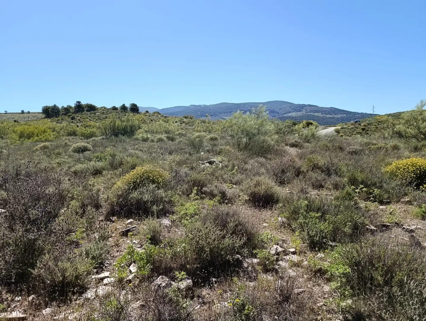 Terrenys i solars en venda a Laujar de Andarax, imagen 6