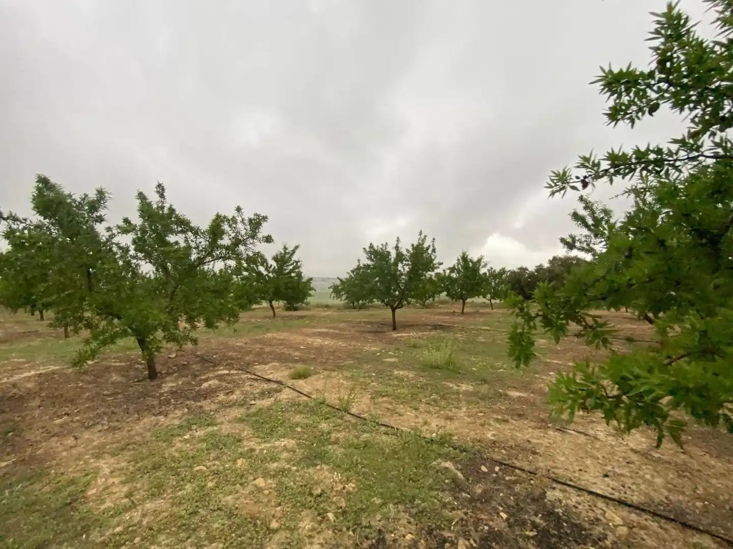 Terreni e lotti in vendita a Guadahortuna, imagen 15