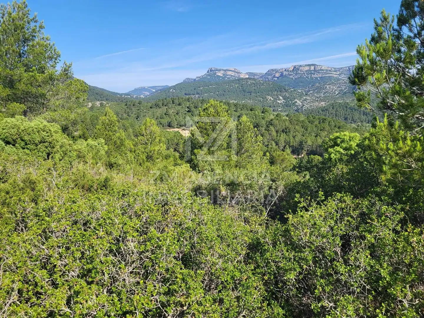Terreno rustico in vendita a Canet lo Roig, imagen 6