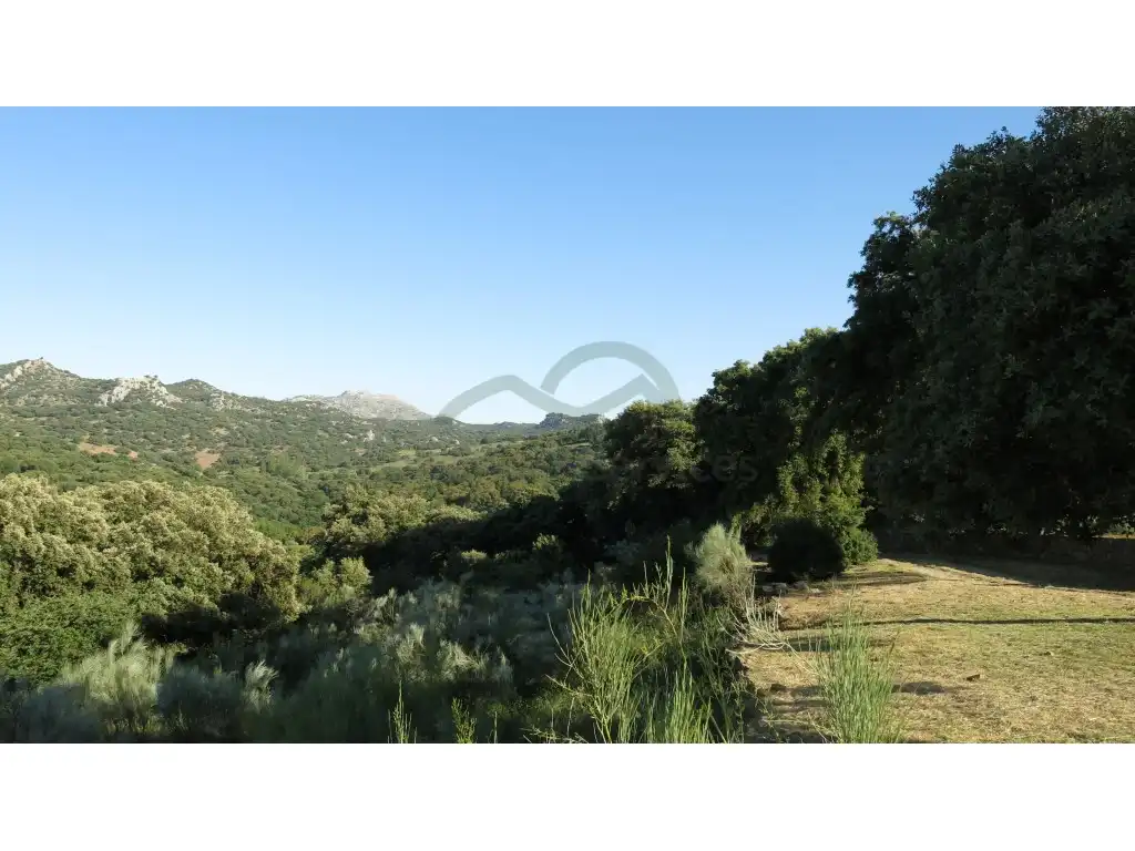 Casa o chalet en venta en Montejaque