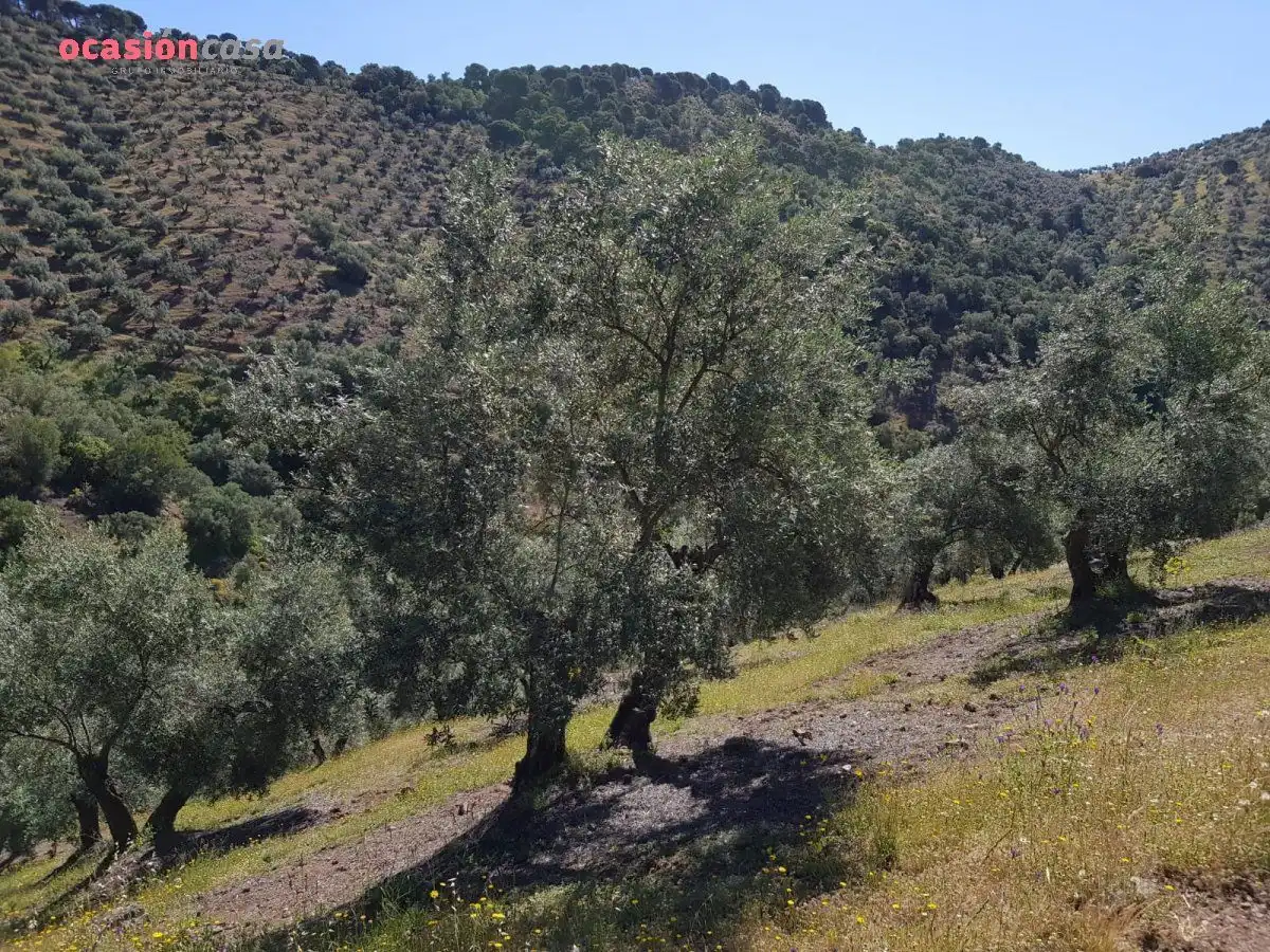 Finca rústica en venta en Villanueva de Córdoba con Jardín privado, Trastero y Amueblado