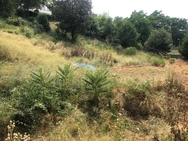 Terreno residenziale in vendita a Sud, imagen 26