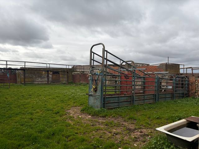 Terreno en Venta en Carretera a Galisteo en Alagón del Río